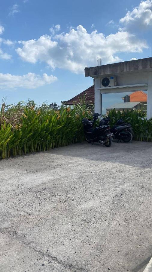 Bruann Residence Villa 2 Seseh Perenenan Amazing Views Munggu Exterior foto